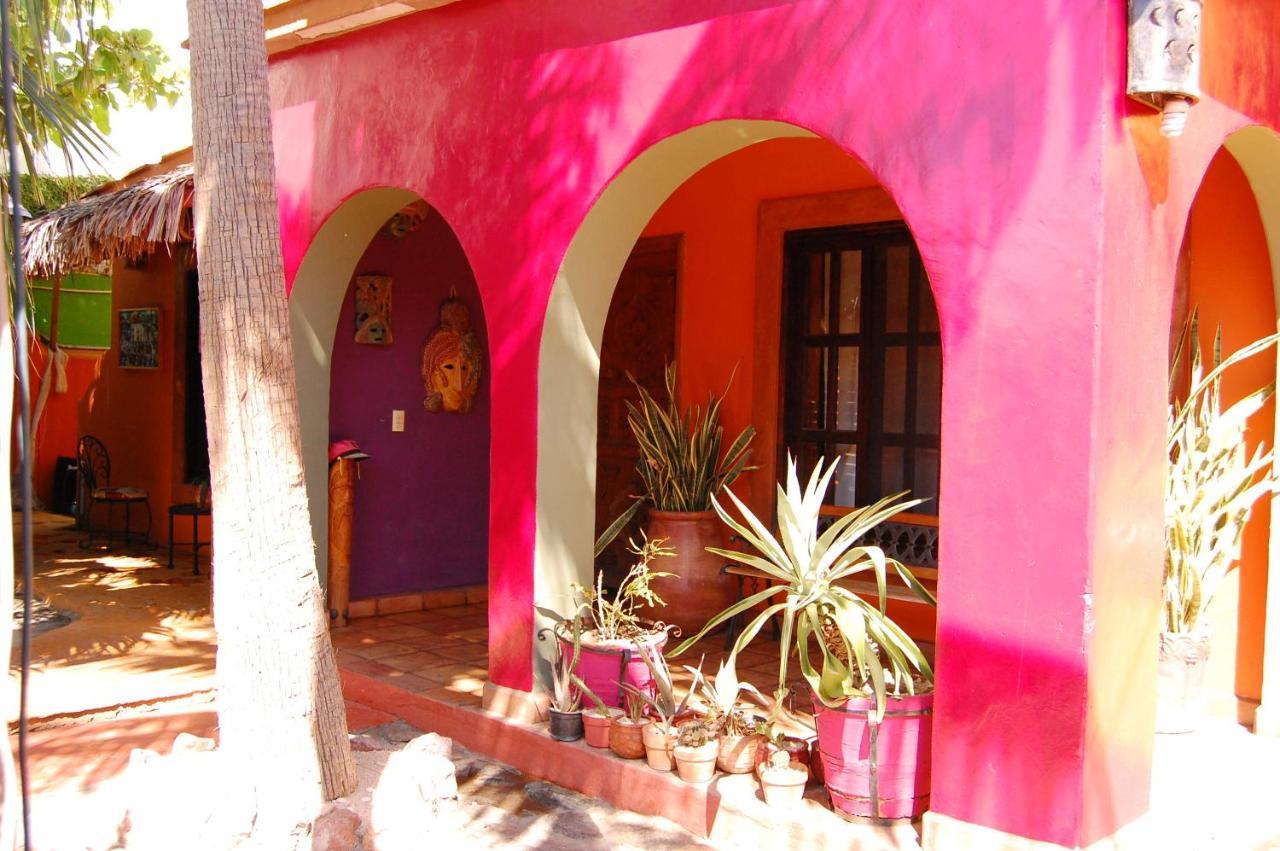 Hotel Leo'S Baja Oasis La Paz Esterno foto