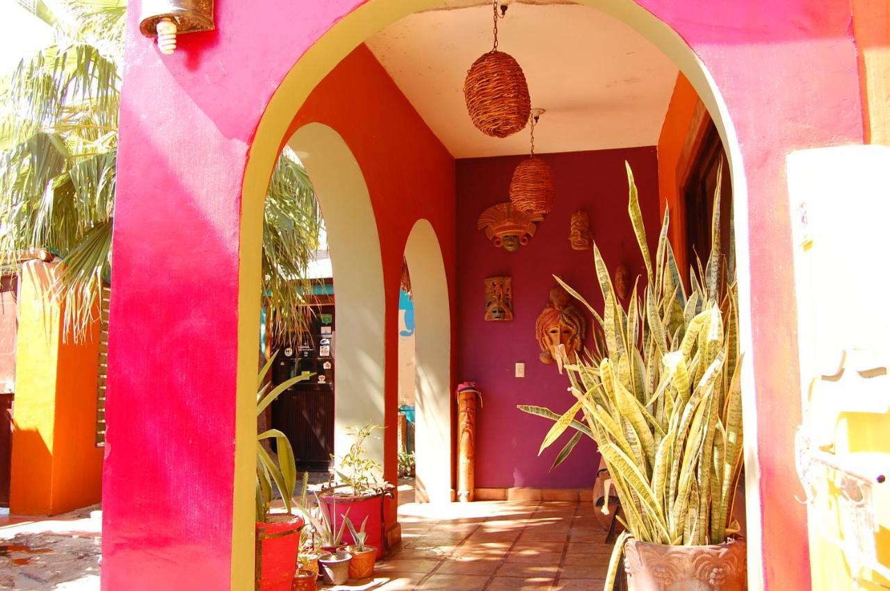 Hotel Leo'S Baja Oasis La Paz Esterno foto